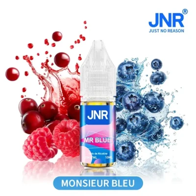 Mr Blue JNR 전자담배 액상 10ml - 니코틴 염 20mg